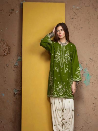 (Winter Collection) Olive Green Embroidered Stitched 2-Piece Women's Suit